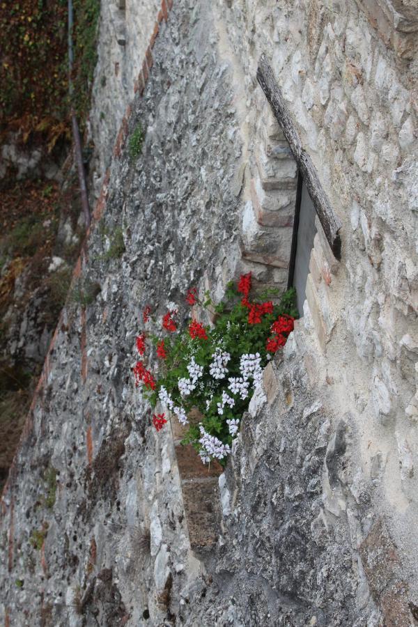 Il Castello Sul Lago Arrone Exterior foto